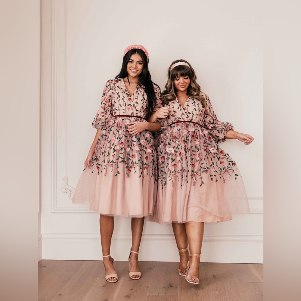 Floral Embroidered Pink Tulle Dress